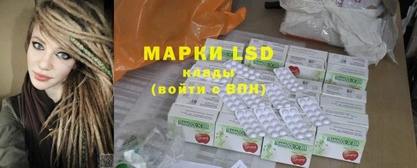 индика Бронницы