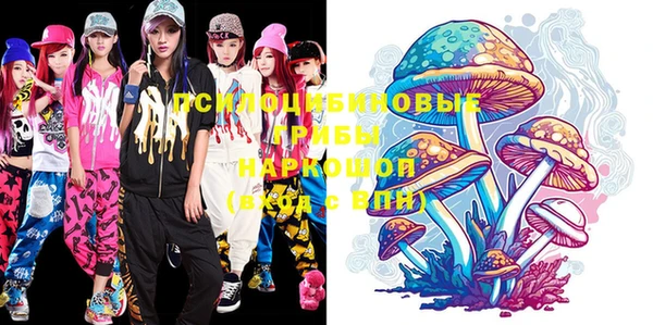 индика Бронницы