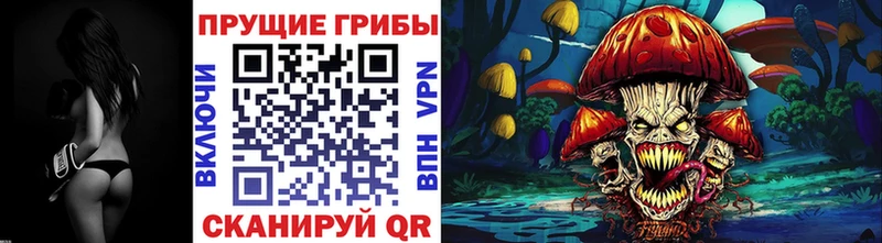 Купить  Карабулак  Галлюциногенные грибы GOLDEN TEACHER 